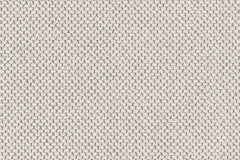 Curio-02