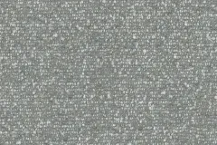 monet-ash