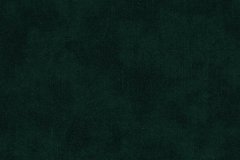 Terra_39
