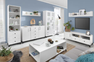 Wardrobes, cabinets, shelving - Living room